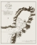 Picture of DISENCHANTMENT BAY ALASKA - ESPINOSA Y TELLO 1802