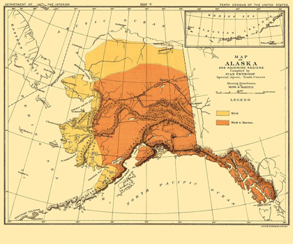 Picture of ALASKA MINK AND MARTEN HABITAT - BIEN 1882