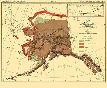 Picture of ALASKA FOX HABITAT - BIEN 1882