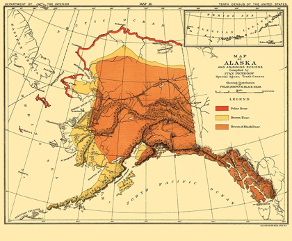 Picture of ALASKA BEAR HABITAT - BIEN 1882