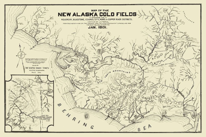 Picture of NEW ALASKA GOLD FIELDS - TEMPLE 1901