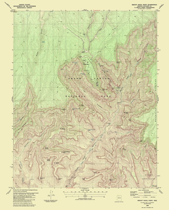 Picture of BRIGHT ANGEL POINT ARIZONA QUAD - USGS 1988