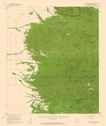 Picture of CHIRICAHUA PEAK ARIZONA QUAD - USGS 1958