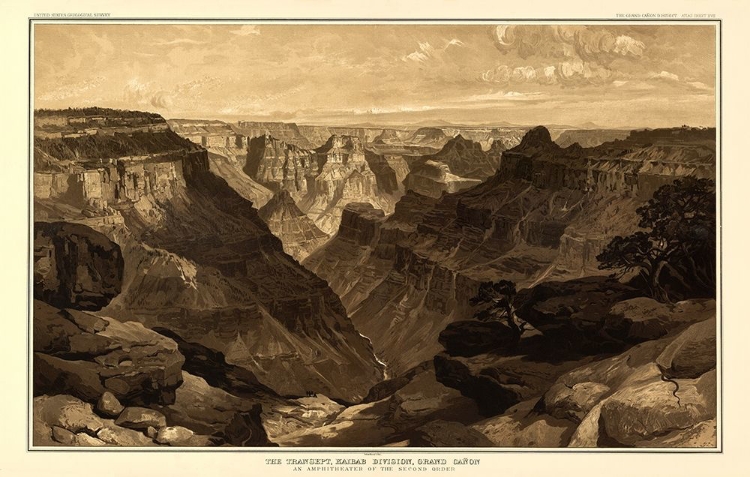 Picture of GRAND CANYON, TRANSEPT KAIBAB DIV ARIZONA