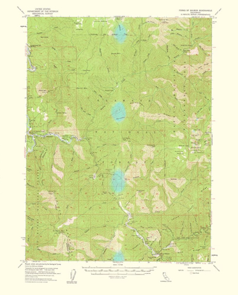 Picture of FORKS OF SALMON CALIFORNIA QUAD - USGS 1961