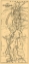 Picture of DENVER AND RIO GRANDE RAILWAY - MOTA 1873