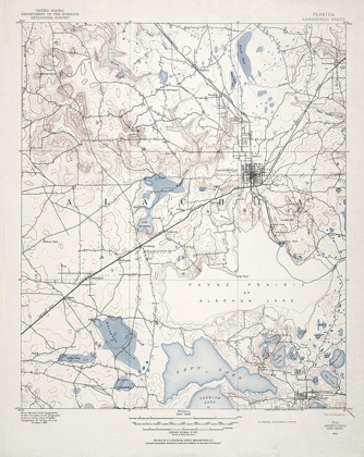 Picture of ARREDONDO FLORIDA QUAD - USGS 1890