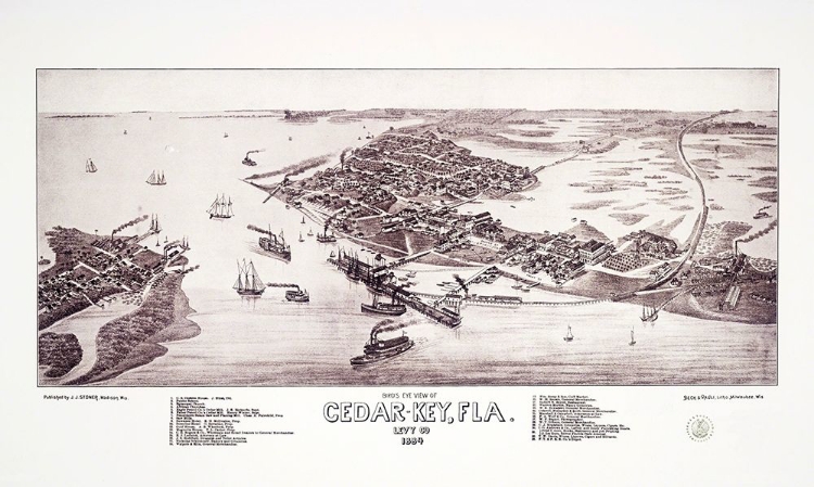 Picture of CEDAR KEY FLORIDA - STONER 1884