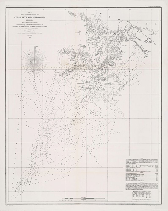 Picture of CEDAR KEYS - DUVAL 1889