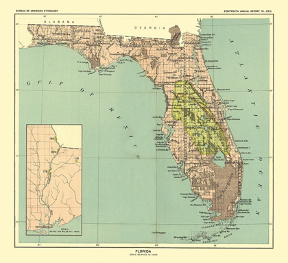 Picture of FLORIDA - HOEN 1896