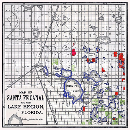 Picture of FLORIDA - LEVY TYPE 1876