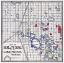 Picture of FLORIDA - LEVY TYPE 1876