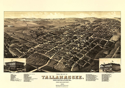 Picture of TALLAHASSEE FLORIDA - BECK 1885