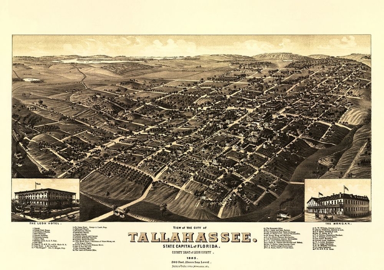 Picture of TALLAHASSEE FLORIDA - BECK 1885