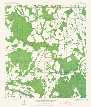 Picture of WHITE CITY FLORIDA QUAD- USGS 1943