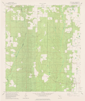 Picture of WALNUT HILL FLORIDA QUAD - USGS 1978