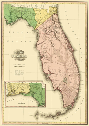 Picture of FLORIDA - TANNER 1823