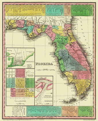 Picture of FLORIDA - TANNER 1833
