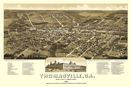 Picture of THOMASVILLE GEORGIA - BECK 1885