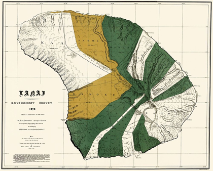Picture of LANAI HAWAII - BIEN 1878