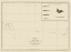 Picture of NECKER ISLAND HAWAII - BERNIZET 1797