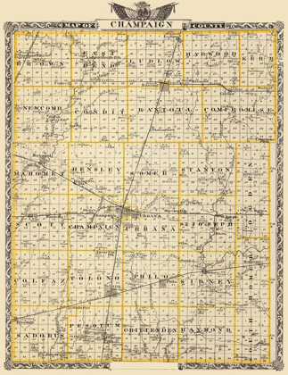 Picture of CHAMPAIGN ILLINOIS LANDOWNER - WARNER 1876