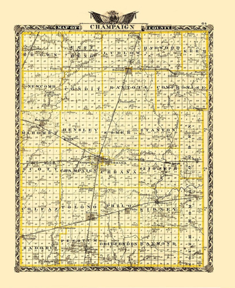 Picture of CHAMPAIGN ILLINOIS LANDOWNER - WARNER 1870