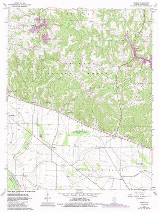 Picture of RADDLE ILLINOIS QUAD - USGS 1968