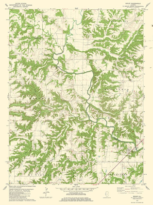 Picture of RIPLEY ILLINOIS QUAD - USGS 1981