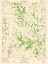 Picture of TAMAROA ILLINOIS QUAD - USGS 1975