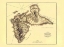 Picture of CARIBBEAN GUADELOUPE - JEFFERYS 1775