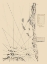 Picture of CENTRAL AMERICA HONDURAS BAY MOSQUITO COAST