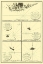 Picture of ISLANDS JAPAN - BOUSSOLE 1787