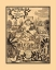 Picture of SOUTH AMERICA NATURAL RICHES - 1703