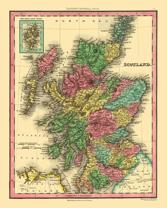Picture of SCOTLAND - TANNER