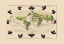 Picture of WORLD - AGNESE 1544
