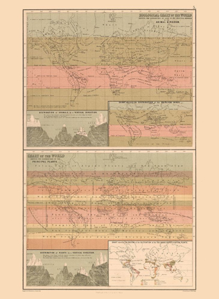 Picture of ZOOLOGICAL CHART WORLD - BLACK 1867