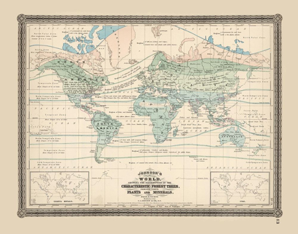 Picture of MINERALS WORLD - JOHNSON 1870