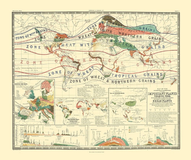 Picture of WORLD CULTIVATION GRAINS - JOHNSTON