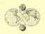 Picture of WORLD - PATTERSON 1804