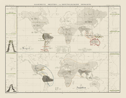 Picture of WORLD HERPETOLOGICAL - 1845