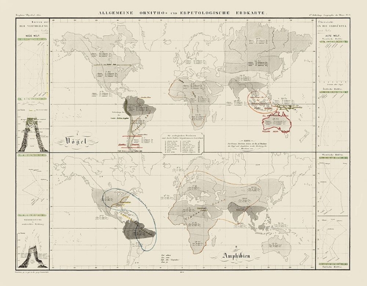 Picture of WORLD HERPETOLOGICAL - 1845