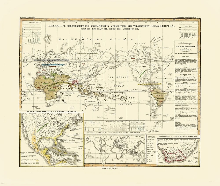 Picture of WORLD PRINCIPAL DISEASES - BERGHAUS