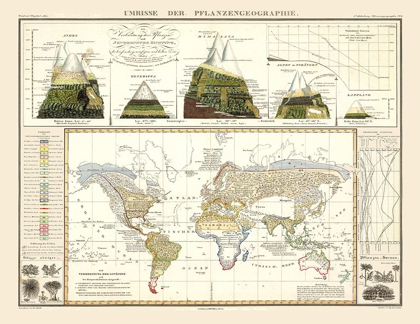 Picture of WORLD PLANT GEOGRAPHY - PERTHES 1838