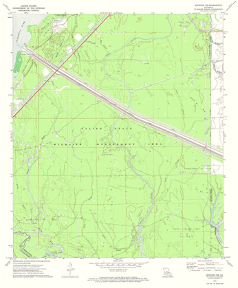 Picture of NORTH EAST BUCKEYE LOUISIANA QUAD - USGS 1972