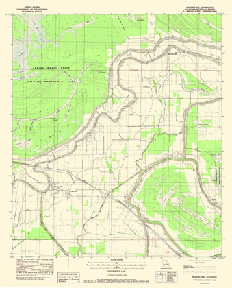 Picture of MOREAUVILLE LOUISIANA QUAD - USGS 1982