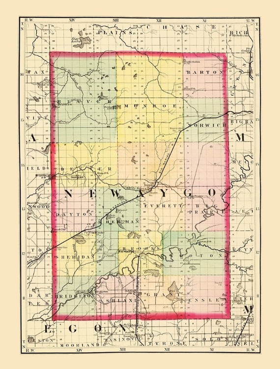 Picture of NEWAYGO MICHIGAN - WALLING 1873