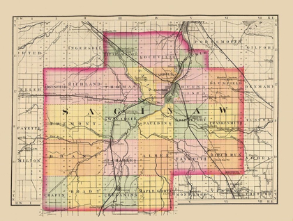 Picture of SAGINAW MICHIGAN - WALLING 1873