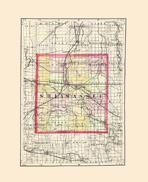 Picture of SHIAWASSEE MICHIGAN - WALLING 1873