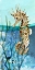 Picture of PACIFIC SEAHORSE